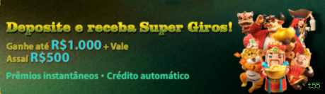 Programa VIP t55
